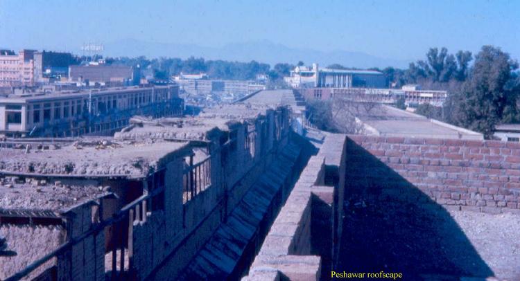 Peshawar Roofscape